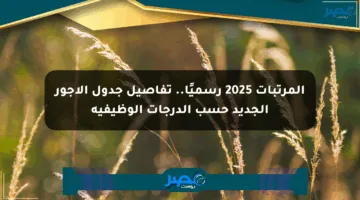 المرتبات 2025 رسميًا.. تفاصيل جدول الأجور الجديد حسب الدرجات الوظيفية